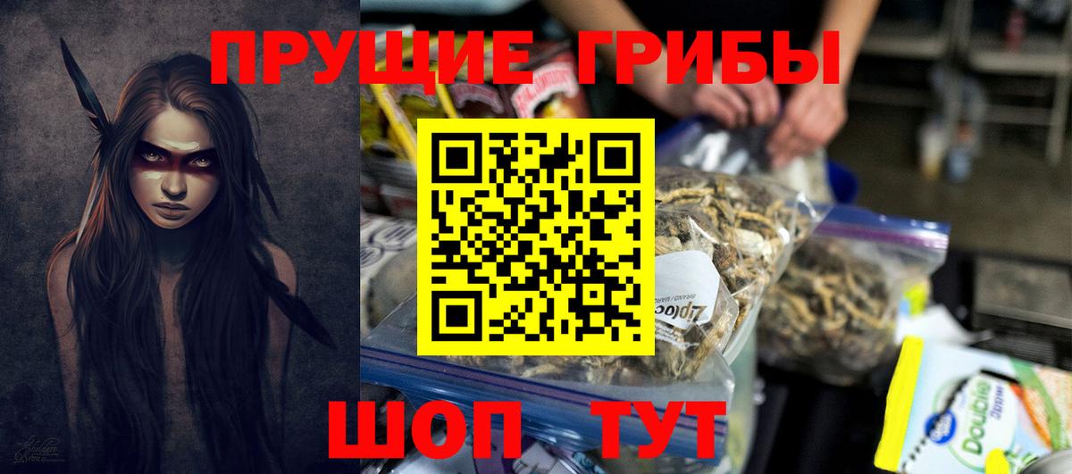 Псилоцибиновые грибы Cubensis  Вход с VPN  Северобайкальск  Псилоцибиновые грибы мицелий 